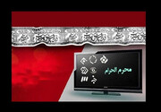 سینمایی‌های تلویزیون در روزهای عزای سالار شهیدان (ع)